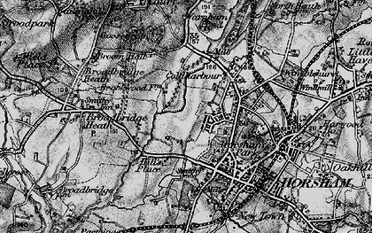 Old map of The Common in 1895