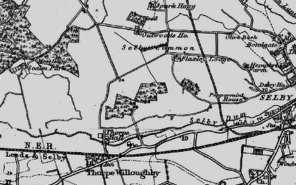 Old map of Thorpe Wood in 1895