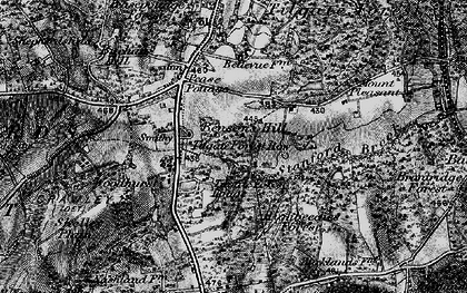 Old map of Brantridge Forest in 1895