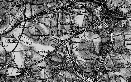 Old map of Trelowth in 1895