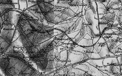 Old map of Treneglos in 1895