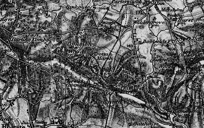 Old map of Trotten Marsh in 1895