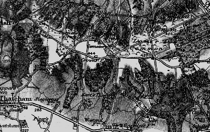 Old map of Blacklands Copse in 1895