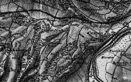 Old map of Wingate Wood in 1895