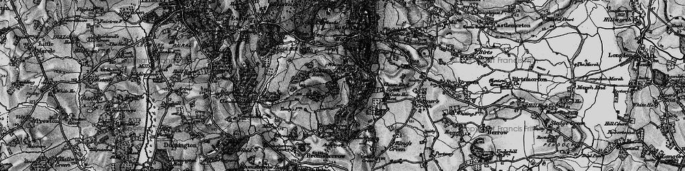 Old map of Whiteleaved Oak in 1898