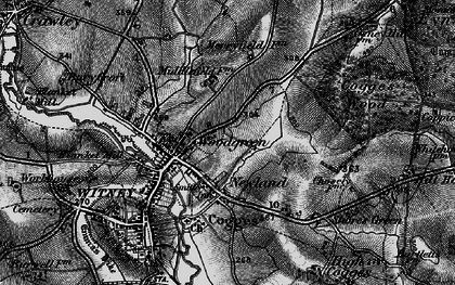 Old map of Woodgreen in 1895